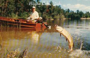 HIGGINS LAKE